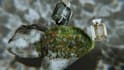 create 3d cosmetic, perfume and bottle cgi animation video ads and designs