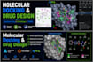 do molecular docking and virtual screening for drug design