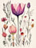 illustrate best botanical illustration