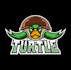 design amazing turtle logo  with free source files