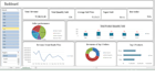 create professional excel dashboards and reports