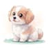 draw cute pet watercolor portrait illustration