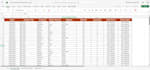 convert PDF to excel and format data professionally