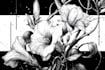 make custom anime manga tattoo design