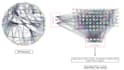conduct pharmacogenomics and network pharmacology analysis