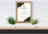 create professional diploma,  award and custom certificate designs