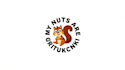 design wonderful squirrel tail logo with express delivery