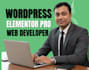 build wordpress website development, business website or wordpress blog website