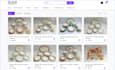 optimize the speed of your website