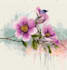 botanical illustrations of flowers, plants
