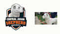 custom pet dog cat logo design