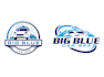 design wonderful car detailing logo for your company