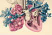 do medical and scientific illustrations