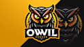 do design custom owl mascot logo with 1 day delivery