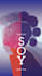 youtube thumbnail canva design