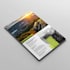 design professional flyer in 12 hours