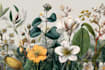 make a botanical illustrations of flowers art
