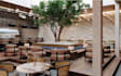 redesign restaurant interior layout,event hall,coffee shop,lounge,bar rendering