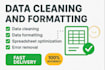data cleaning and formatting your excel data