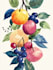 best botanical illustration art