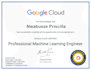 develop python gpt, chatbots, ml, dl, and data science projects
