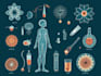 do medical and scientific illustrations