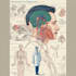 do medical and scientific illustrations