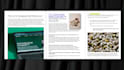 write SEO blog posts that rank fast on google