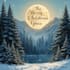 do christmas card, greeting card, holiday invitations