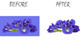cut out images background removal professionally