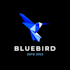 fix your generic logo with professional business design