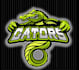 create alligator logo for your brand