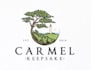 make a custom beautiful pine tree logo design