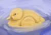 digital draw your animal