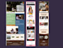 design and code a responsive email template and newsletter