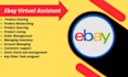 be professional amazon  ebay walmart virtual assistant