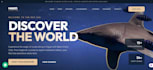 build your web and mobile app from concept to launch