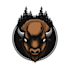 do make bison mascot logo in 12 hours