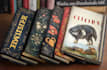 create an epic fantasy book cover