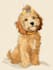 draw picture in disney cartoon style