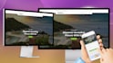 professional website design and development