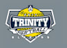 create high quality and beautiful softball logo design