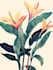 draw botanical and animal tattoo design