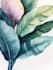 create a botanical illustration