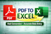 convert PDF to excel manually and accurately