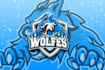 do make an modern wolf logo