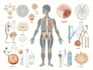 design scientific medical anatomy educational illustrations