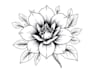 make a line art design tattoo for you