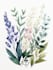 create a botanical illustration