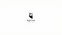design high quality owl bird logo
